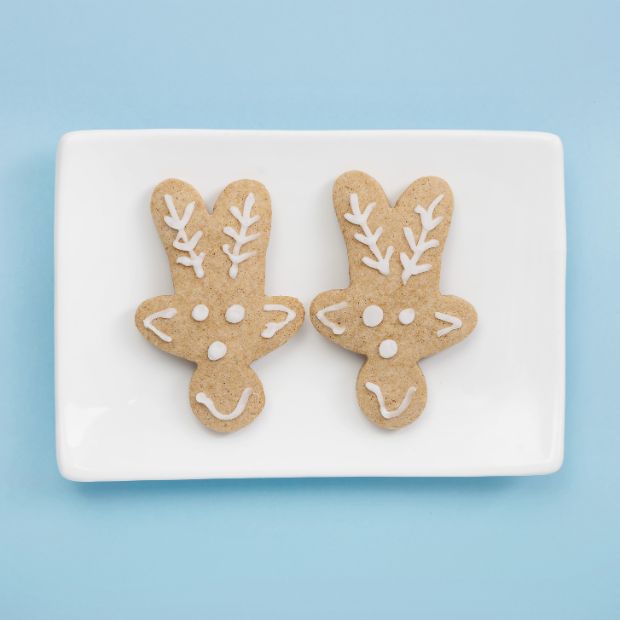 Gingerbread Cookie Mix 360g - Free From Family Co